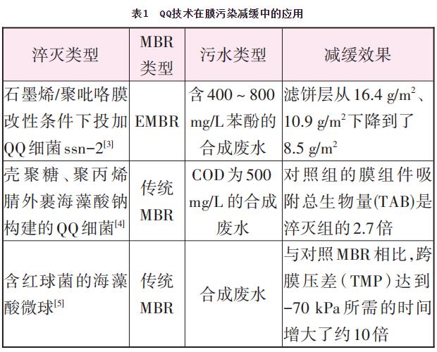 生物法减缓MBR膜污染的研究进展